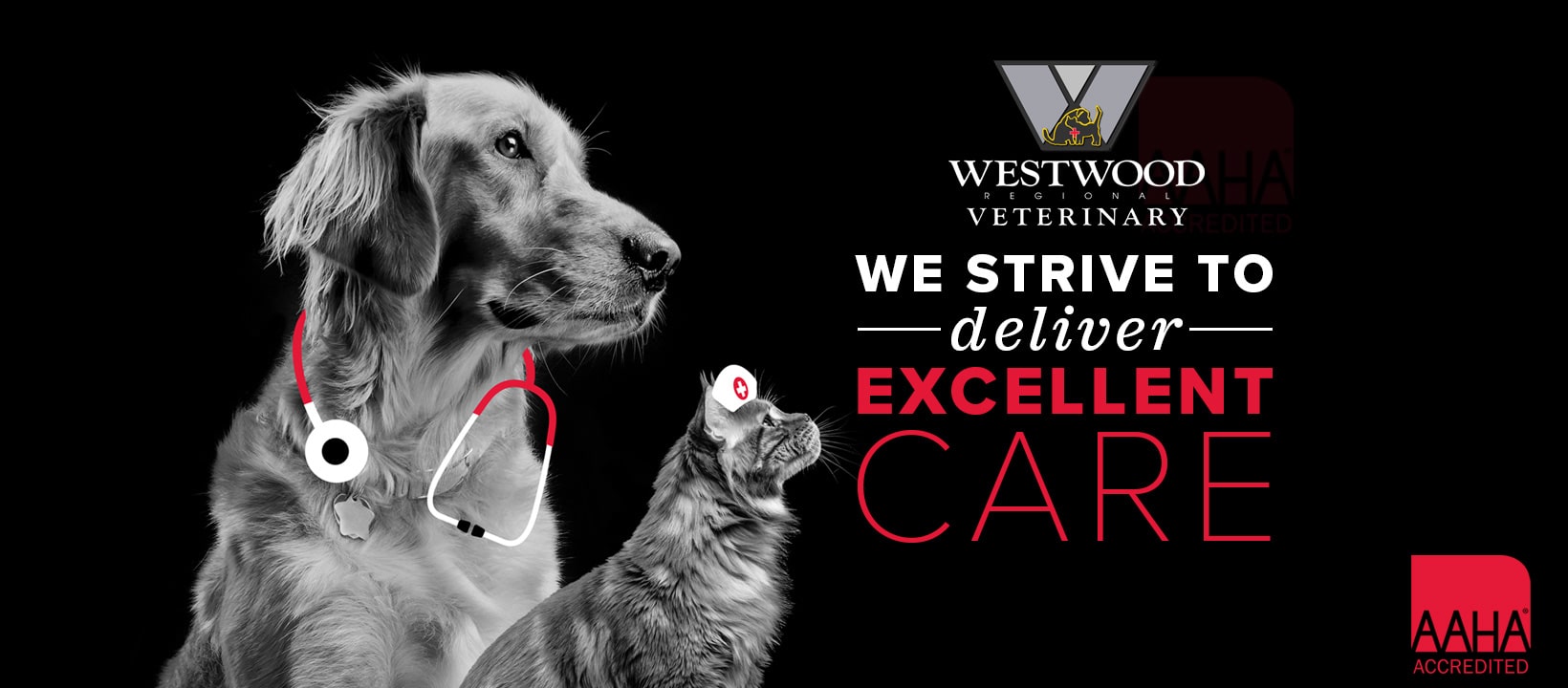 Westwood Regional Veterinary